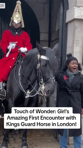 Encuentro Mágico con el Caballo de la Guardia del Rey