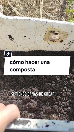Cómo hacer una composta: Guía paso a paso