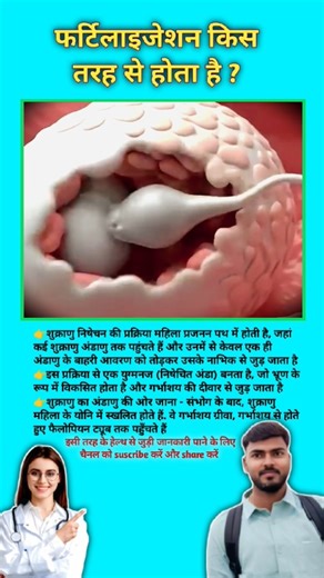 फर्टिलाइजेशन किस तरह से होता है ? Fertilisation process in human || #viral #fertilisation