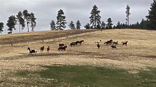 1.4K views · 75 reactions |  There’s something magical about...