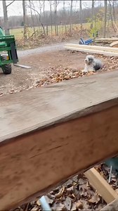 Sawing a Beam for the Shed #sawmill #diy #shed #homestead #farmlife Part 3 | Hidden SpringFarm