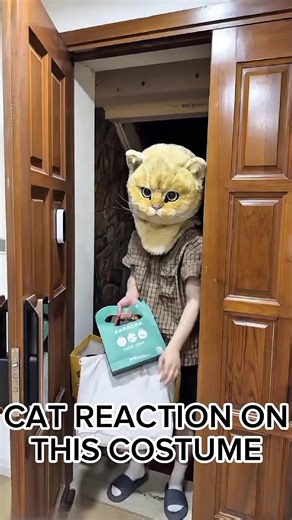 cat costume owner trickly inject medicine 💉🐈#shorts