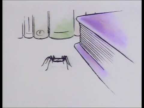 Spider! - E02 - Just a Spider - 1991 CBBC #cbbc #kidssong