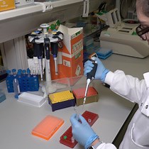 Video: Transcription Start Site Mapping Using Super-low Input Carrier-CAGE