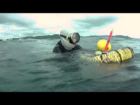 海女が生きるまち、鳥羽