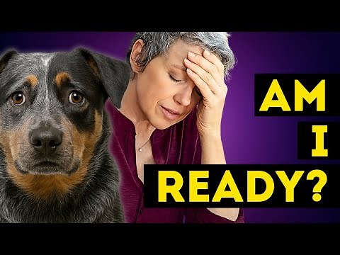 EASY Tips to Get Ready for TPLO Surgery Recovery