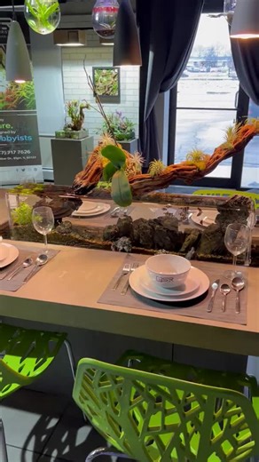 Tabletop Fish Tank Design for Luxury Dining Experience