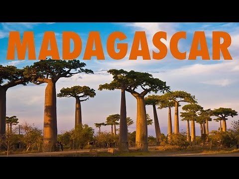 Travel Madagascar- Highlights of A Magical Country