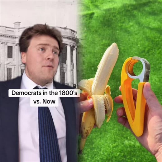 Democrats in the 1800's vs. Now... 🇺🇸 #comedy #funny #democrat #republican #liberal #1800s #thenandnow #politics #usa #fyp #greenscreen