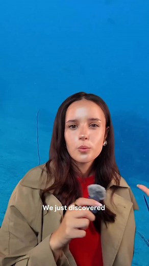 31 reactions | Two research expeditions have led to the discovery of 30 new deep sea species — one intermediately called the ‘Death Ball Sponge’. The carnivorous sponge has orb ended appendages containing micro-hooks that are used to capture prey. Researchers are actively investigating further before they decide on an official title for the creature. | Newsroom ZA | Facebook