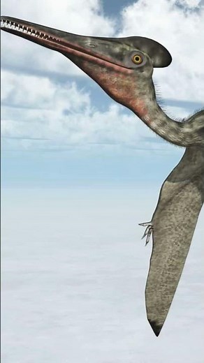 depictions of pterodactylus over the years #pterodactyl #paleontology #evolition #dinosaur