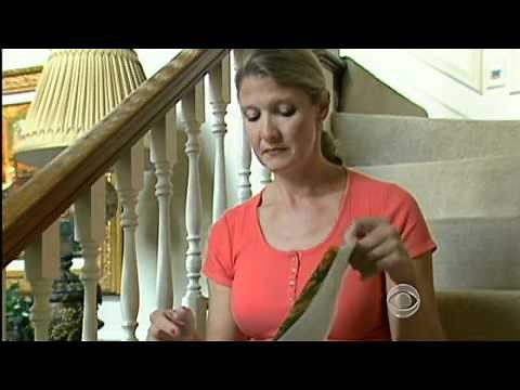 The events of Flight 93