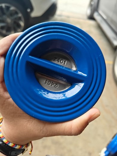 [Hot Item] Versatile Dual Disc Check Valve for Reliable Fluid Management Solutions