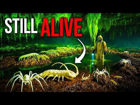 There’s a Cave Where Life Has Been Sealed Off for Millions of Years | Documentary For Sleep