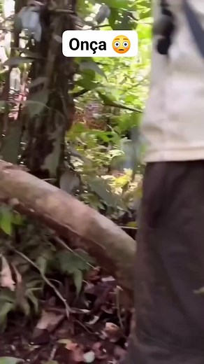 1.7M views · 9.3K reactions | Cagao kkkkkkkk | Kaé da roça | Facebook