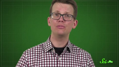 Why you shouldn't trust all health food trends | SciShow compilation