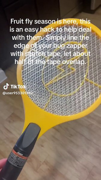 Effective Bug Zapper Hack for Fruit Fly Control
