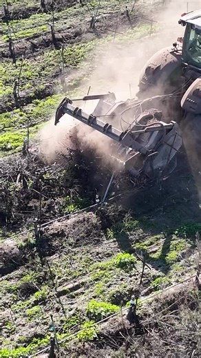 Efficient Vineyard Management with Tractor-Mounted Mulcher