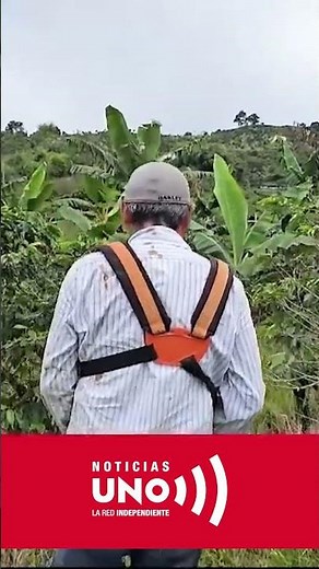 Colombia, environmental leaders at risk: learn about the Jericó case | Noticias UNO