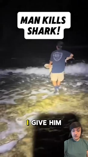 What was the point in this!? Did he have to kill the shark for no reason? Remember to share this post with everyone you know! Drop a comment! Never let your line snap again! Check out the best fishing line ever made with this link! > https://www.tiktok.com/t/ZTHgMpdPjk94p-Ei6yb/ #catch #fishing #fishingtrip #fishinglure #fishingislife #hooked #hook #fish #fishhook #fisherman #saltlife #fishingmoments #fail #fails #fishingfail #fishingfails #shark #sharks #funny #funnyfishing #funnymoment #funnym