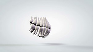 3d Rotating Model Of Human Teeth Stock Motion Graphics SBV-300203152 - Storyblocks