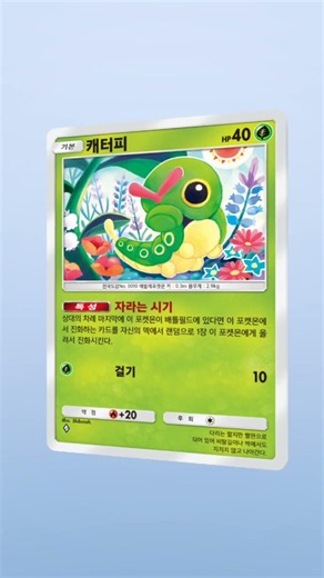 포켓몬 카드게임 포켓 630 귀여운 #야돈