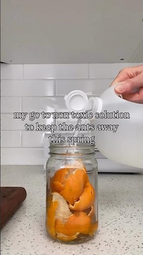 DIY NON TOXIC ANT DETERRENT
