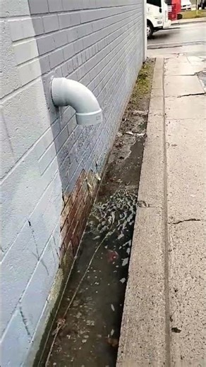 Disappearing water trick plus idiot #ArachnidToday #JennaOrtega displacement does not occur per drop