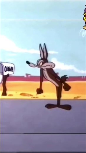 The Road Runner Show #cartoon #cartoonvideo #cartoonnetwork #shinchanmemes