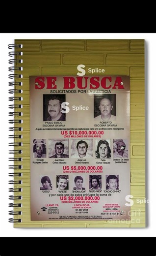 The Medellín Cartel #history #usa #colombia #medelin #facts #crime