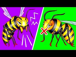 That's Why Some Bees Buzz but Others Don't