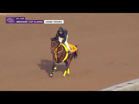 BC24 Prep - Ushba Tesoro 10/27/24