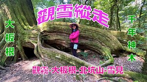 觀雪縱走（觀霧-大板根-北坑山-雪見） | 健行筆記 | LINE TODAY