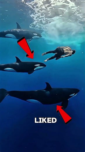 He's LITERALLY the Real Life Aquaman... 🔱