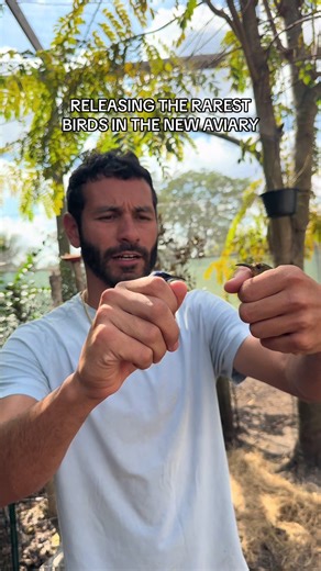 Discover the New Aviary: 12 Birds and More Coming!