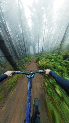 Wet Roots MAX speed! #Mtb | Mark Matthews