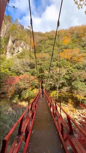 The seasons change over the bridge 🌁 Autumn at Nagatokyo Gorge 🍂 #YamaguchiCity #HagiCity #Nagato...