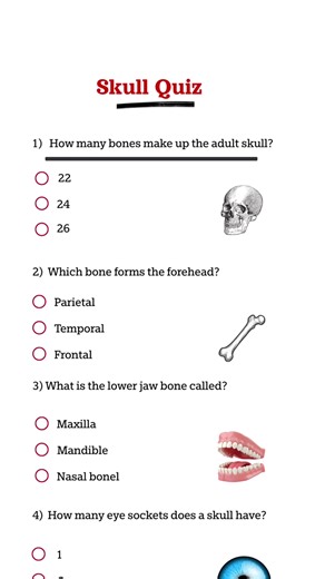Skull Quiz: Test Your Biology Knowledge