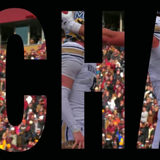 Big Sky Conference on Instagram: "‘CATS ARE NATIONAL CHAMPS 🏆"