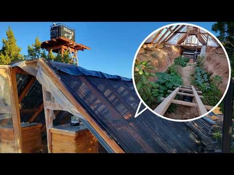 Gardening Solutions for High Desert Greenhouses