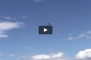 Thrust Vector powered Funjet