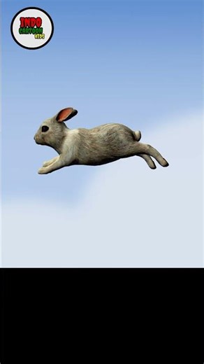 cute Magic Rabbit. indo cartoon kids. #animalcartoonstory #kidscartoonstory