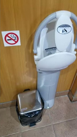 わたべ 多目的バリアフリートイレ INAX 手摺 てすりの位置確認 車椅子 障害者WC water closet 内装 設備 渡部建 2020年10月23日
