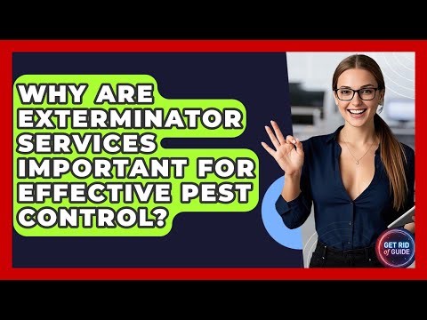 Why Are Exterminator Services Important for Effective Pest Control? | Get Rid Of Guide