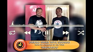 30K views · 1.9K reactions | VAN NGONGO WABETSA ? SANABETSE? Earlier today, the Ntchisi based rnb artist, Driemo signed a management deal with Leslie's manager, Van Ngongo. Here is a sample of Driemo's song, 'No Insurance'. Kodi Van Ngongo wabetsa? sanabetse? Driemo mukumuona bwanji? Full audio Insurance https://mikozinet.com/download/44100/ Duma https://mikozinet.com/download/44110/ | Mikozi | Facebook