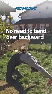 We'll help you find coverage options to fit your budget. | Progressive