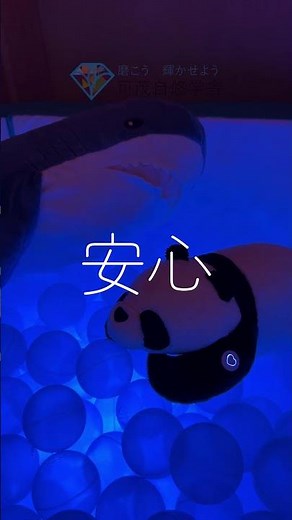 可茂自悠学舎のスヌーズレンルーム