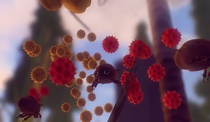 Everything Review - Everything You Want to Know About Everything