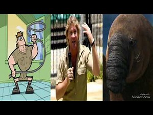 Australian voice actors: Steve Irwin