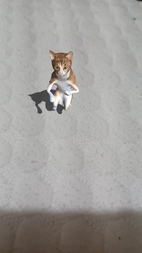 Adorable Animated Cat Actions in 3D